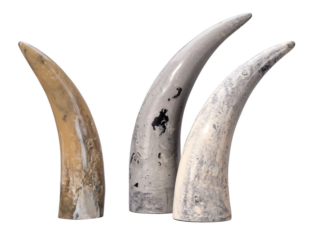 Preview image for Varigated Horn Decorative Objects