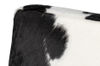 Image 11 of 13