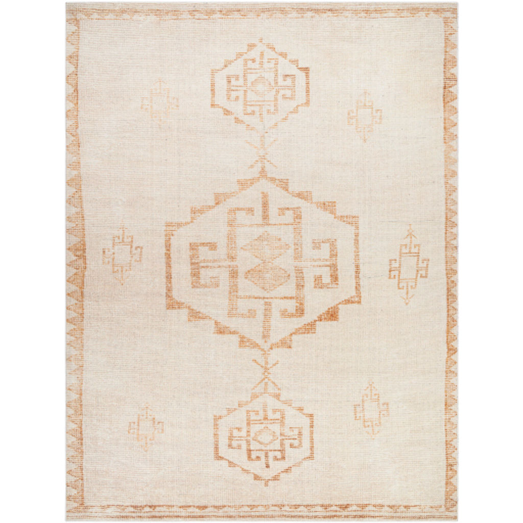 Solana Ii 3'11" X 5'7" Rug