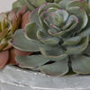 Image 5 of 5