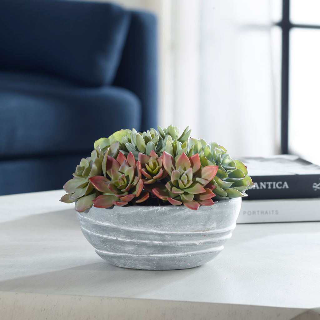 Pe Succulent Accent