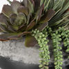 Image 5 of 5