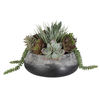 Image 4 of 5