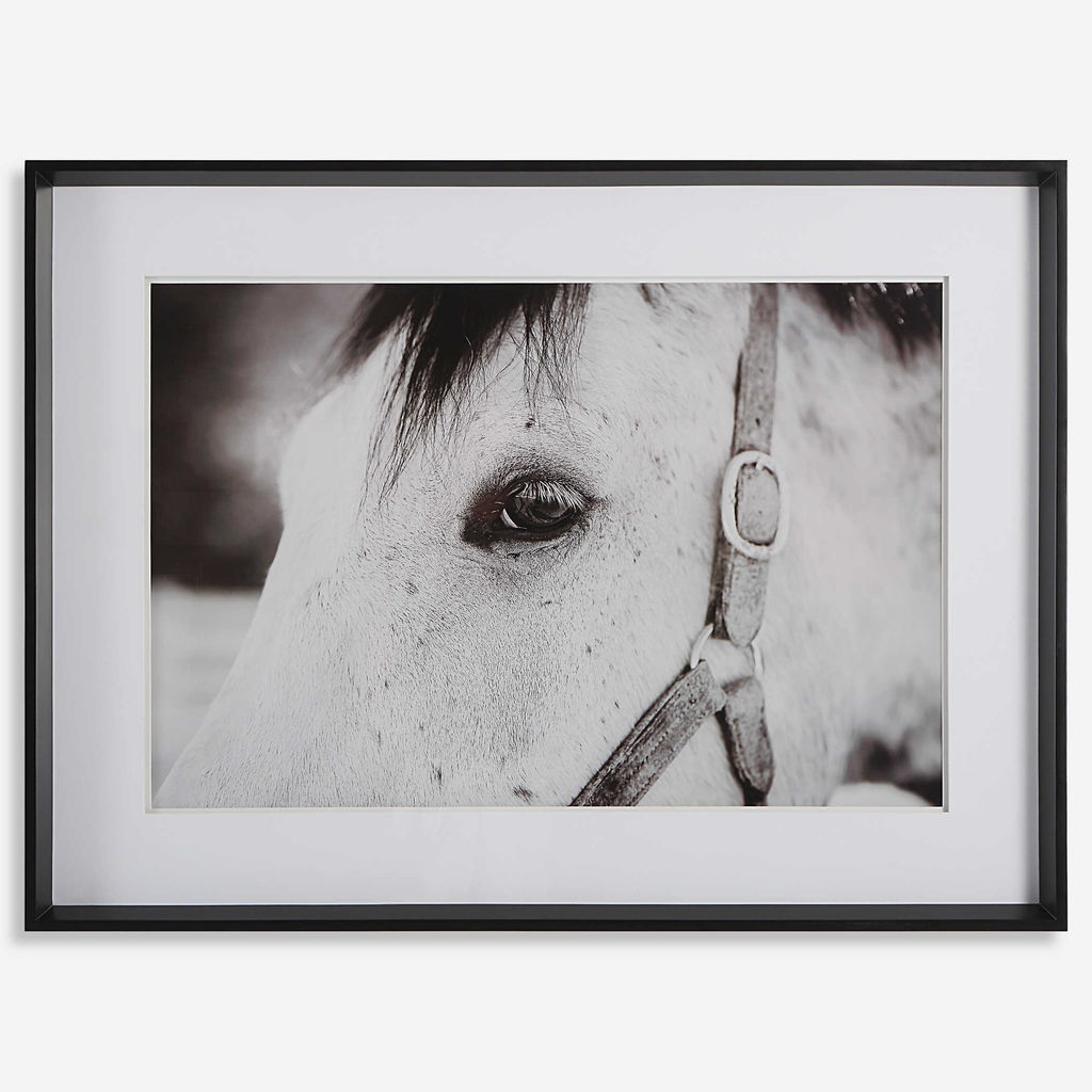 Preview image for Horse Framed Print, 46" X 34"