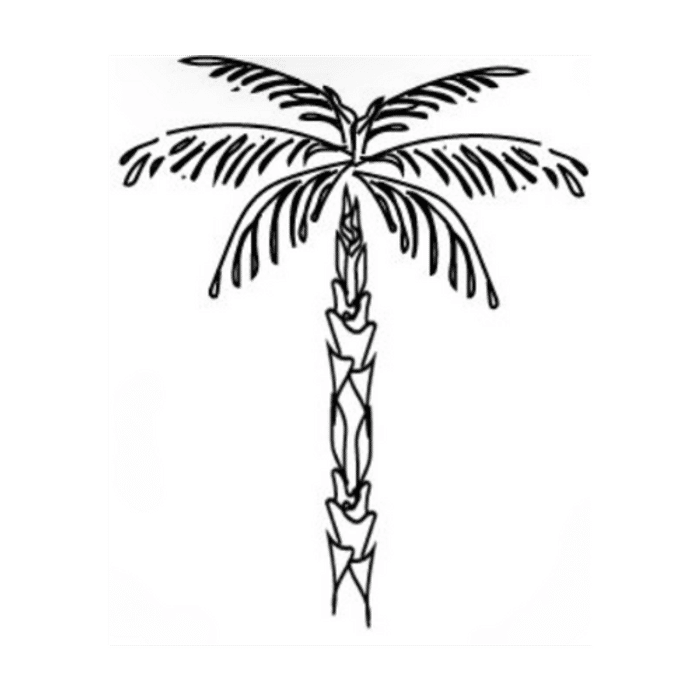 CASA CASUAL logo