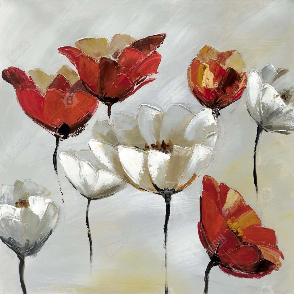 Abstract Red And White Flowers 49 X 49, Framed Stretched Canvas