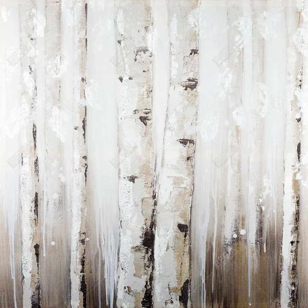 Abstract White Birches 37.25 X 37.25, Framed Stretched Canvas