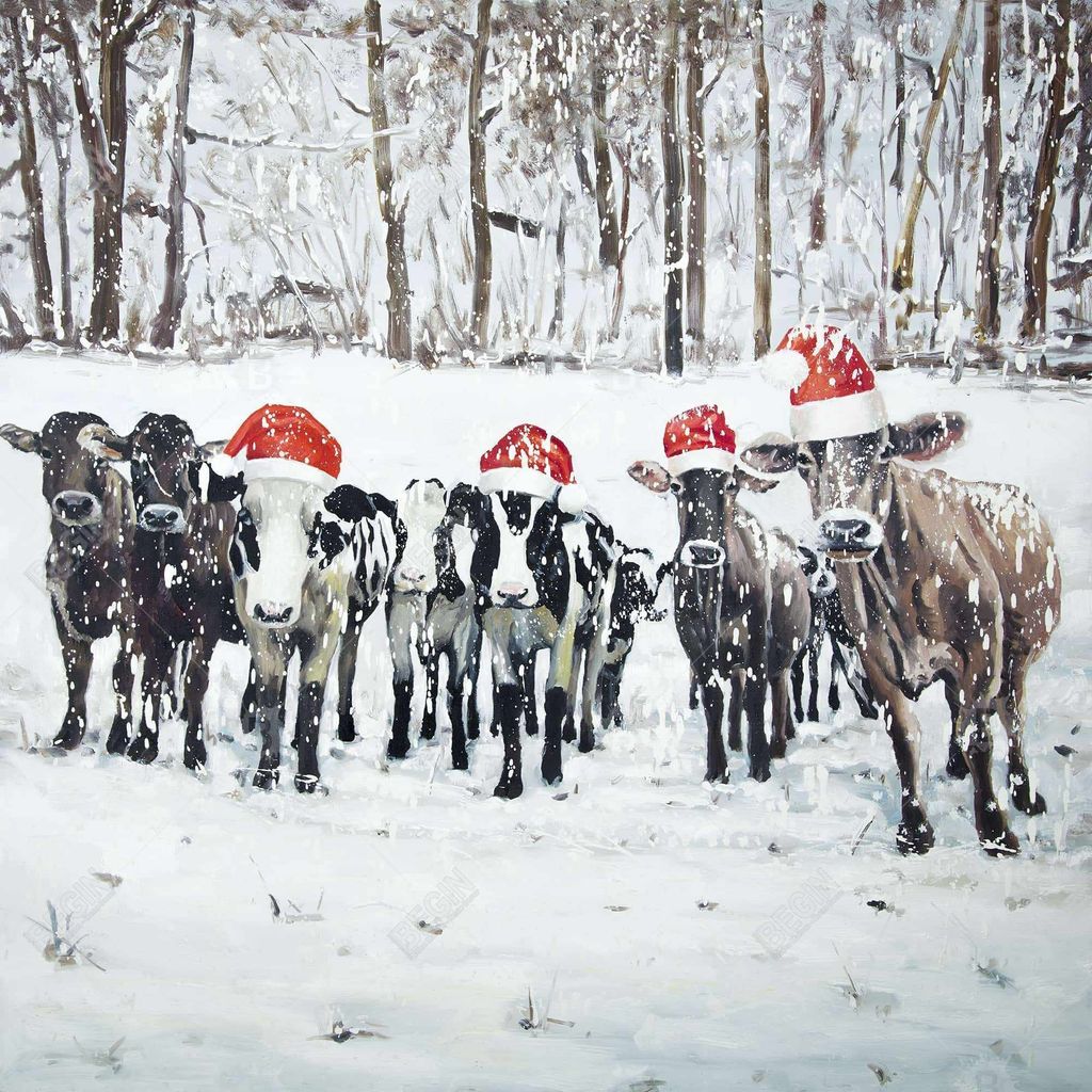 Curious Christmas Cows 48 X 60, Stretched Canvas Unframed