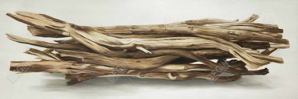 Floated Wood Left By The Sea 16 X 48, Stretched Canvas Unframed