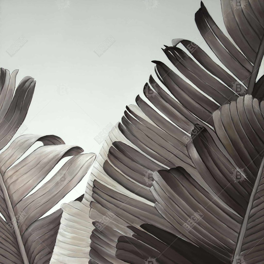 Grayscale Tropical Leaves 37.26 X 49.26, Framed Stretched Canvas
