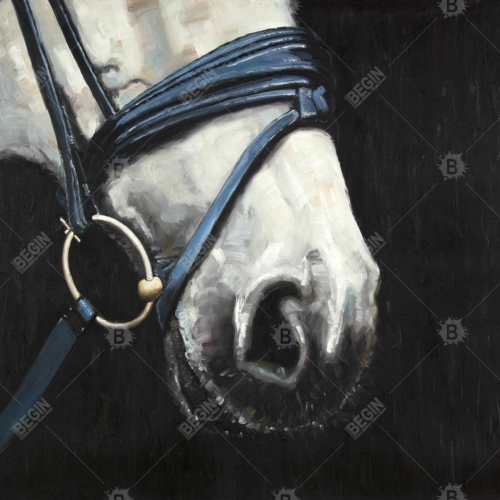 Horse 48 X 60, Stretched Canvas Unframed