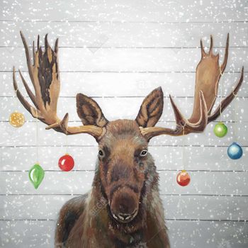 Moose Has Christmas Balls 49 X 49, Framed Stretched Canvas