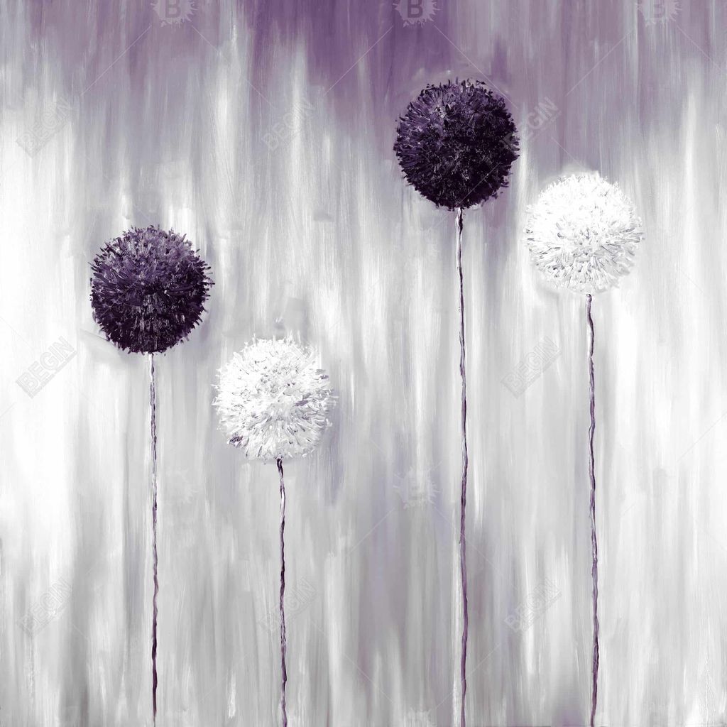 Purple Allium Flowers 25.26 X 25.26, Framed Stretched Canvas