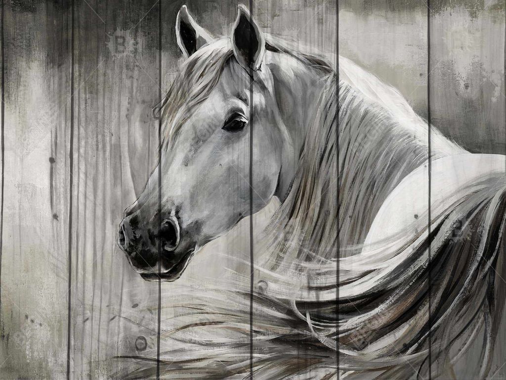 Rustic Horse 37.26 X 49.26, Framed Stretched Canvas