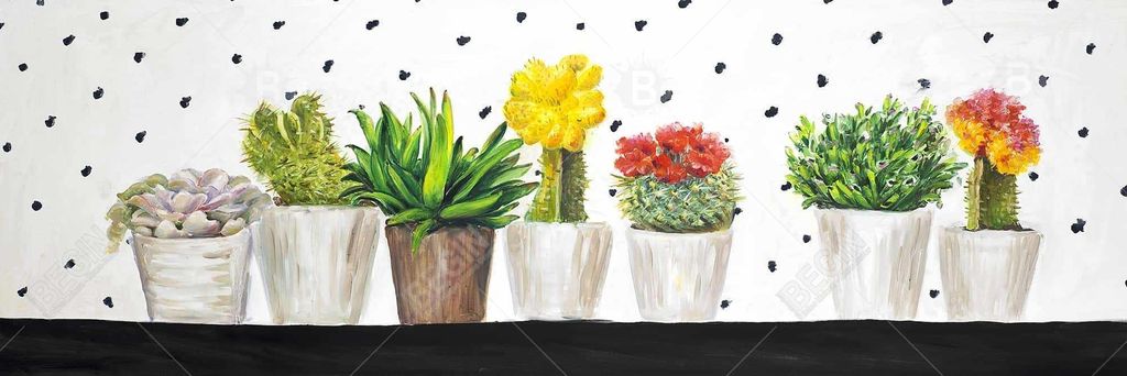 Small Cactus And Succulents 16 X 48, Stretched Canvas Unframed (115)