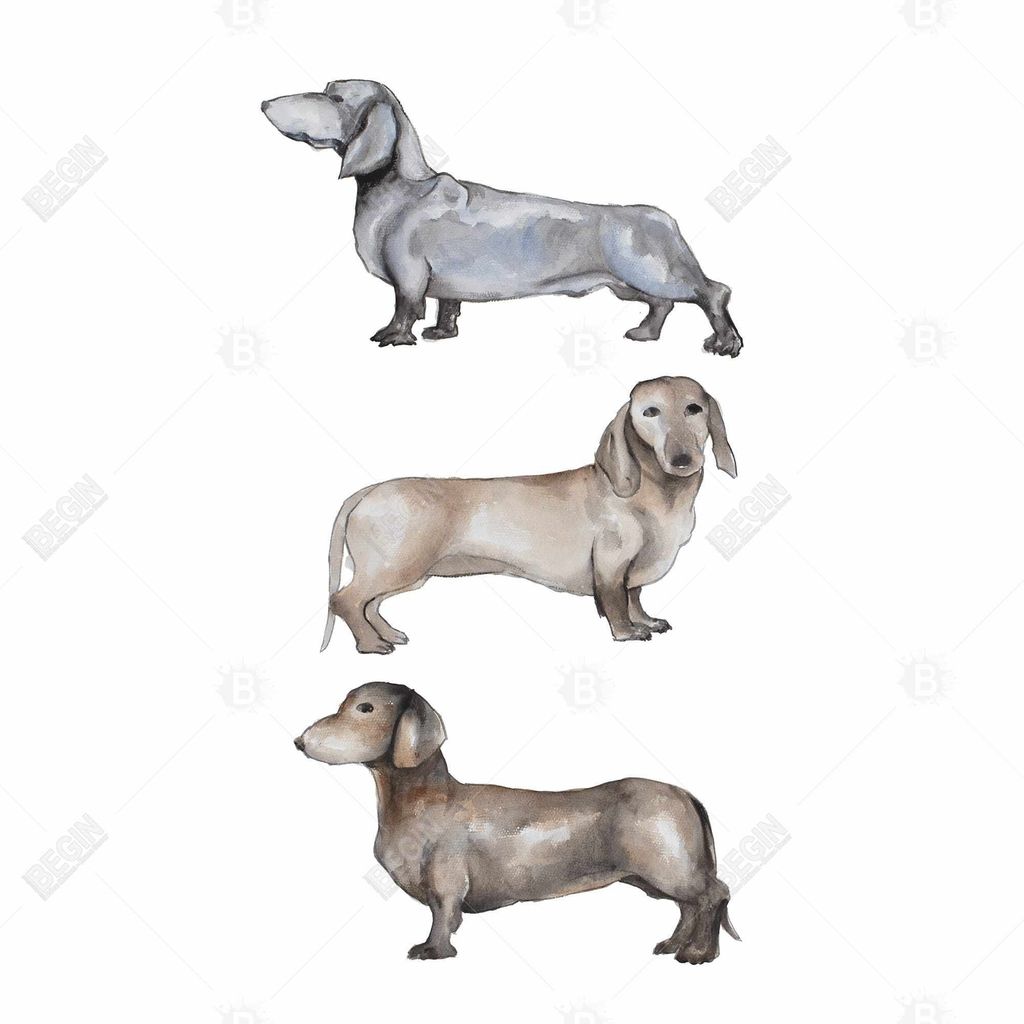 Preview image for Small Dachshund Dog 24 X 36, Stretched Canvas Unframed