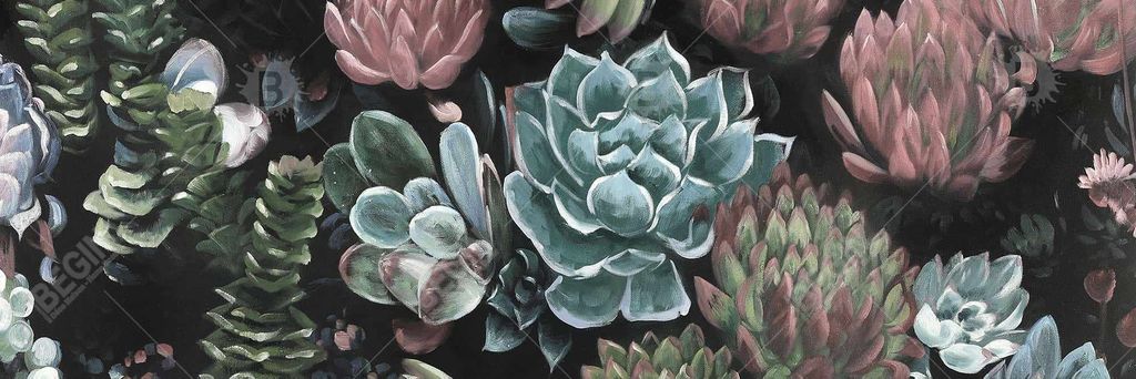 Succulent Set 16 X 48, Stretched Canvas Unframed