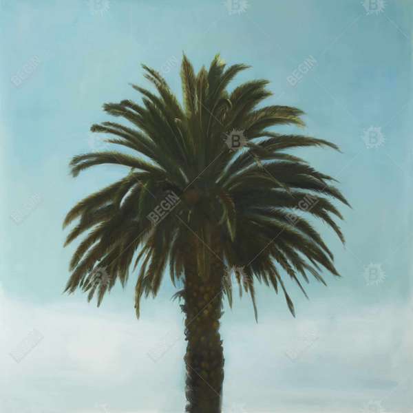 Lookup 25.26 X 25.26, Framed Stretched Canvas