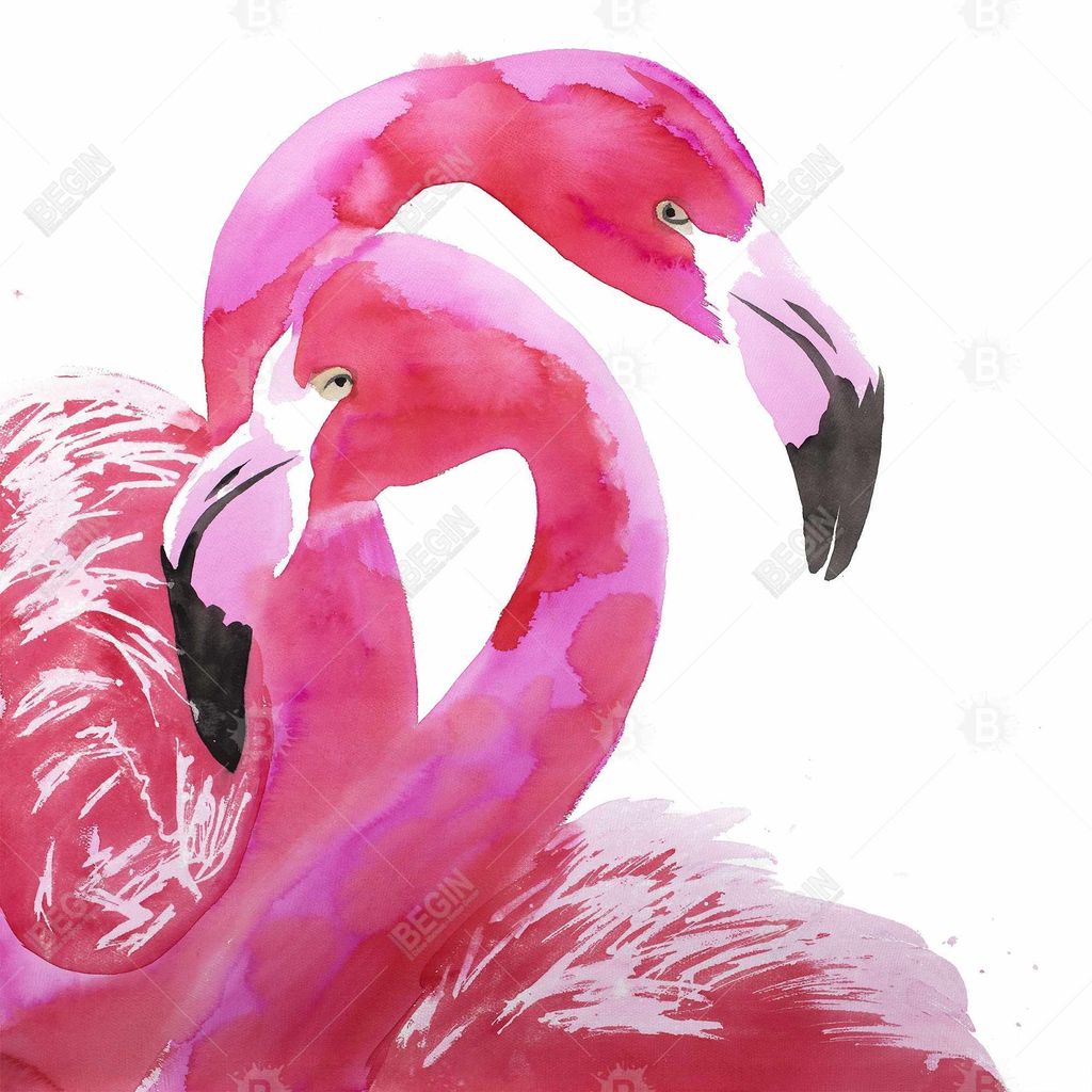Watercolor Flamingo Love 25.26 X 25.26, Framed Stretched Canvas