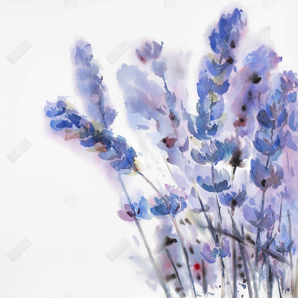 Watercolor Lavender Flowers 24 X 36, Stretched Canvas Unframed
