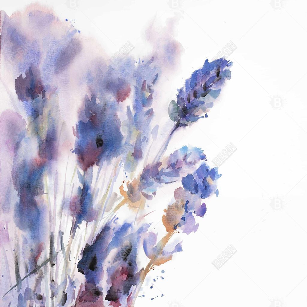 Watercolor Lavender Flowers With Blur Effect 24 X 36, Stretched Canvas Unframed