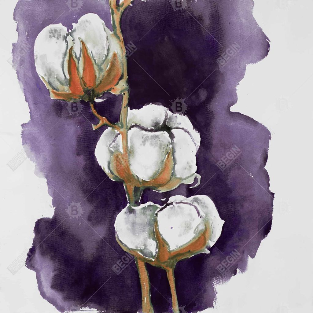 Watercolor Purple Cotton Flowers 36 X 36, Stretched Canvas Unframed