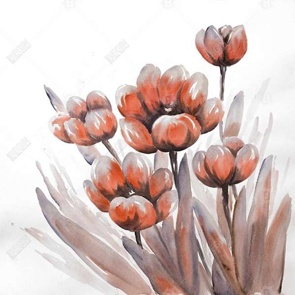Watercolor Red Flowers 48 X 48, Stretched Canvas Unframed