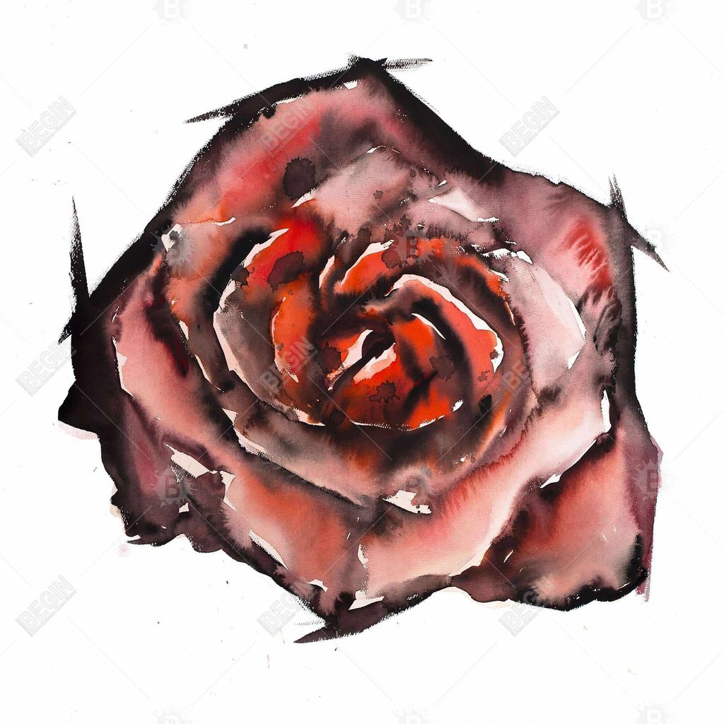 Watercolor Rose 37.26 X 49.26, Framed Stretched Canvas