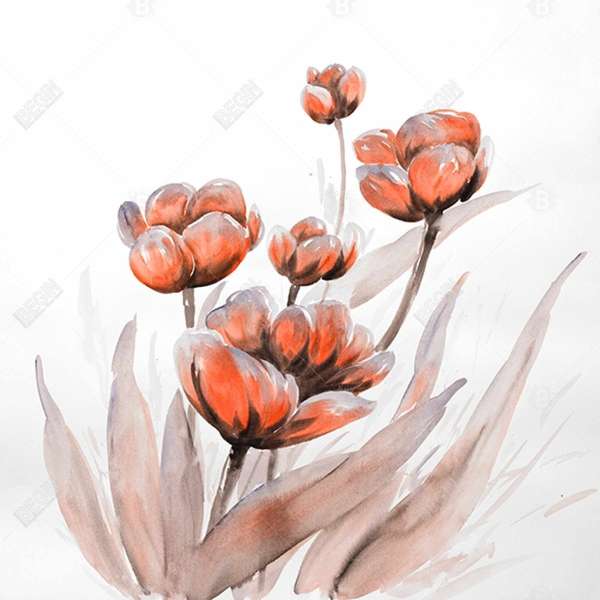 Watercolor Wild Flowers 36 X 36, Stretched Canvas Unframed