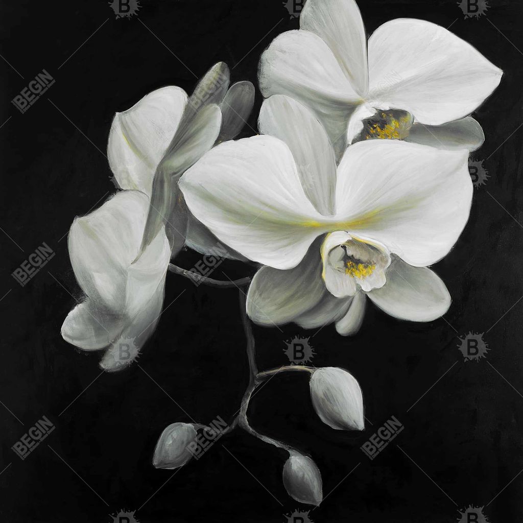 White Orchids 24 X 36, Stretched Canvas Unframed