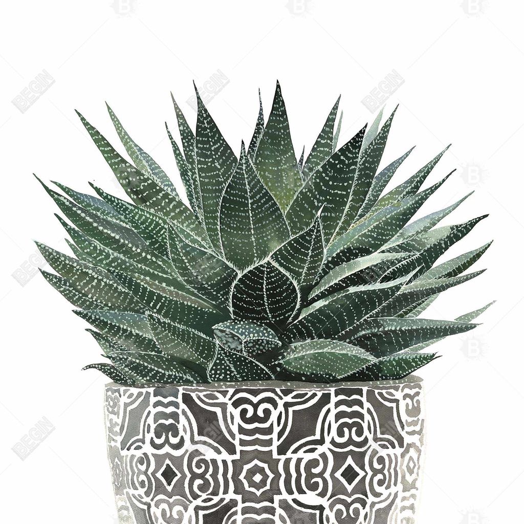 Preview image for Zebra Plant Succulent 48 X 60, Stretched Canvas Unframed