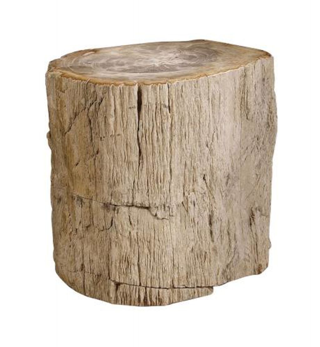 Petrified Wood Side Table