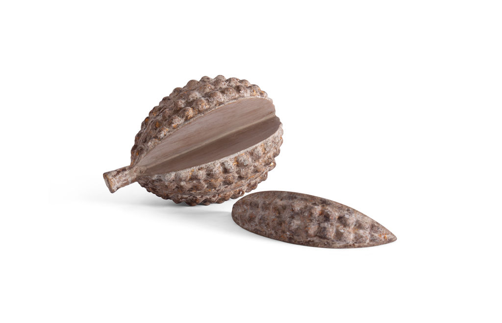 Decorative Fruit