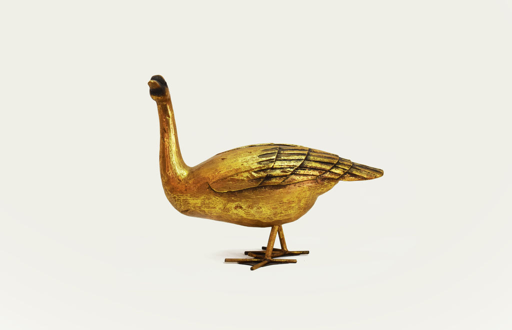Folk Standing Wild Goose