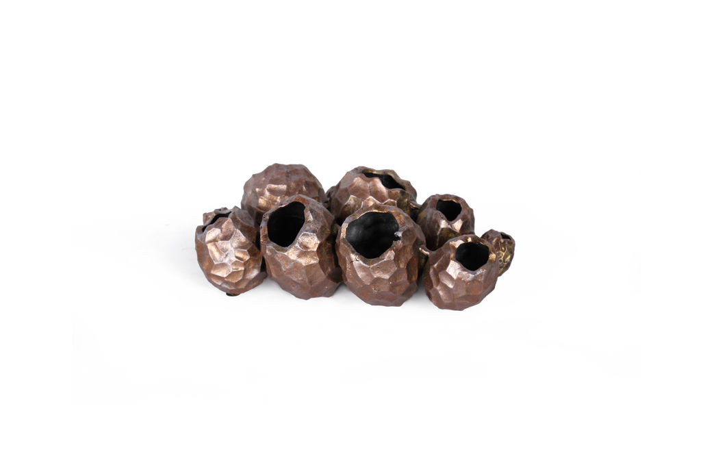 Sculpted Barnacle Cluster