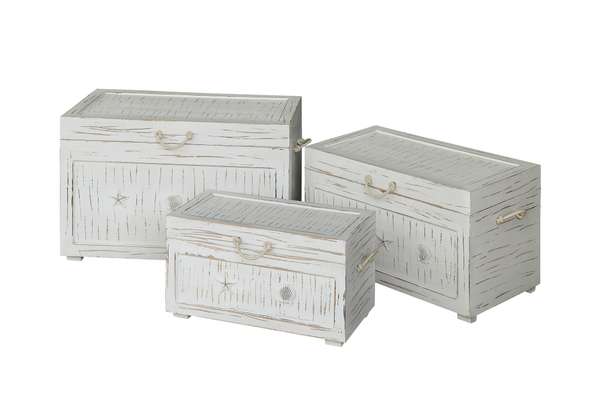 Seaside White Shell Set Of 3 Trunks