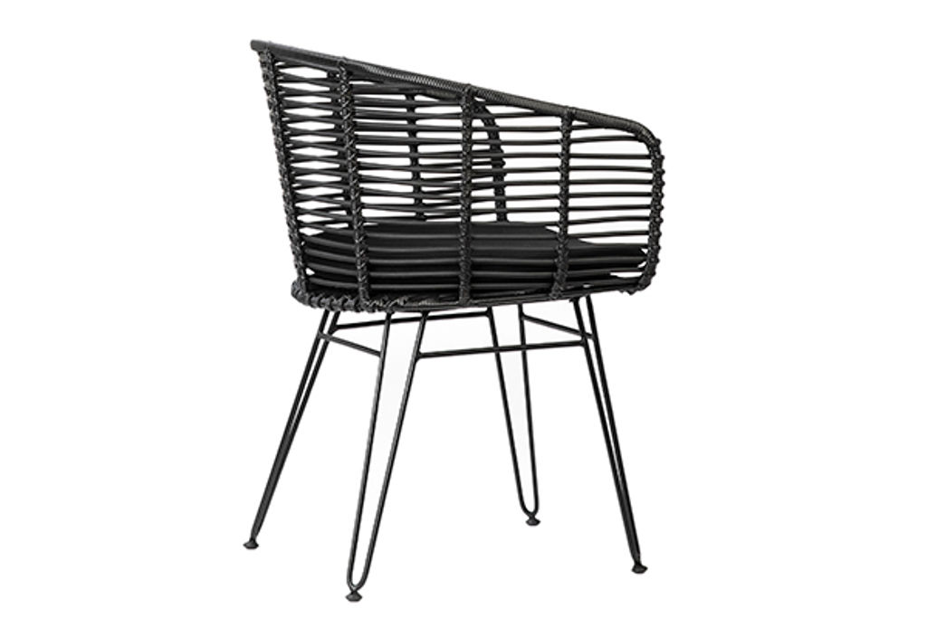 Ishani Dining Chair Set Of 2