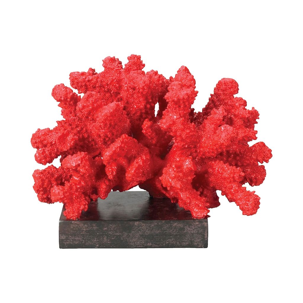 Preview image for A-Fire Island Coral