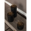 Image 7 of 7