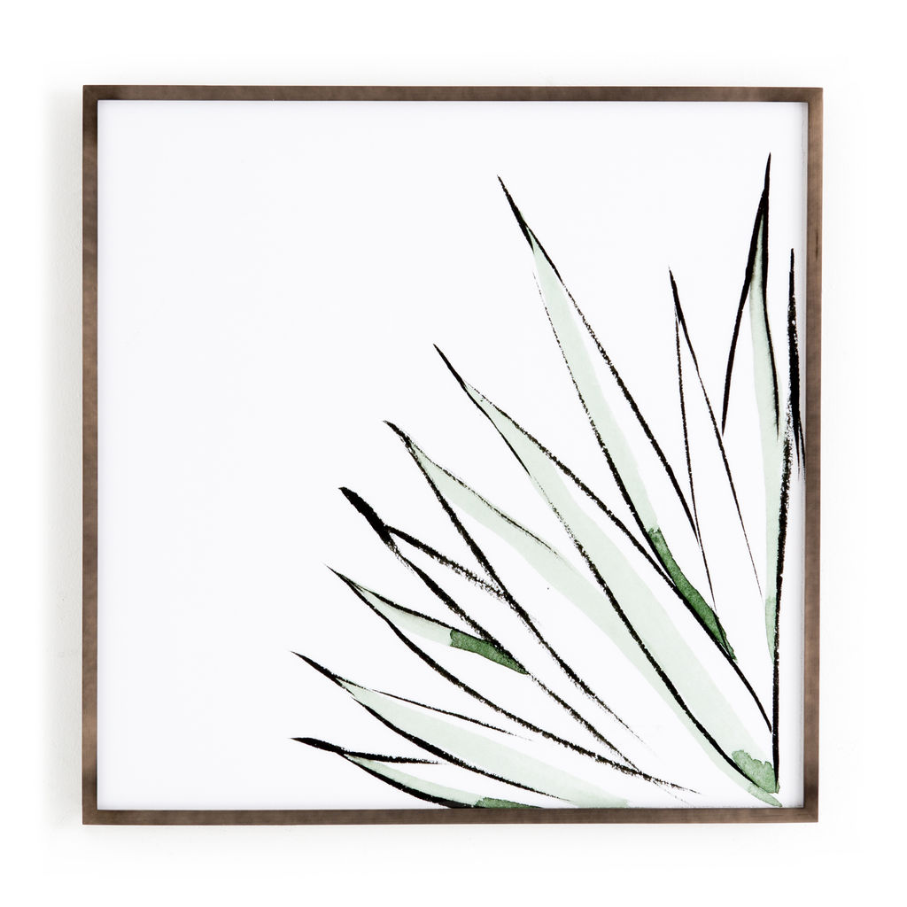 Preview image for Agave Crop By Jess Engle