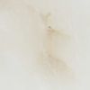Image 5 of 5