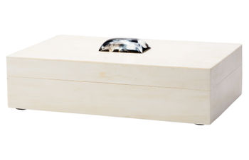 Constantine Large Rectangle Box In Cream Resin With Horn Accent
