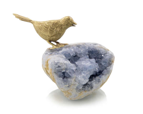 Bird On Celestite Rock I