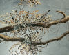 Image 2 of 4