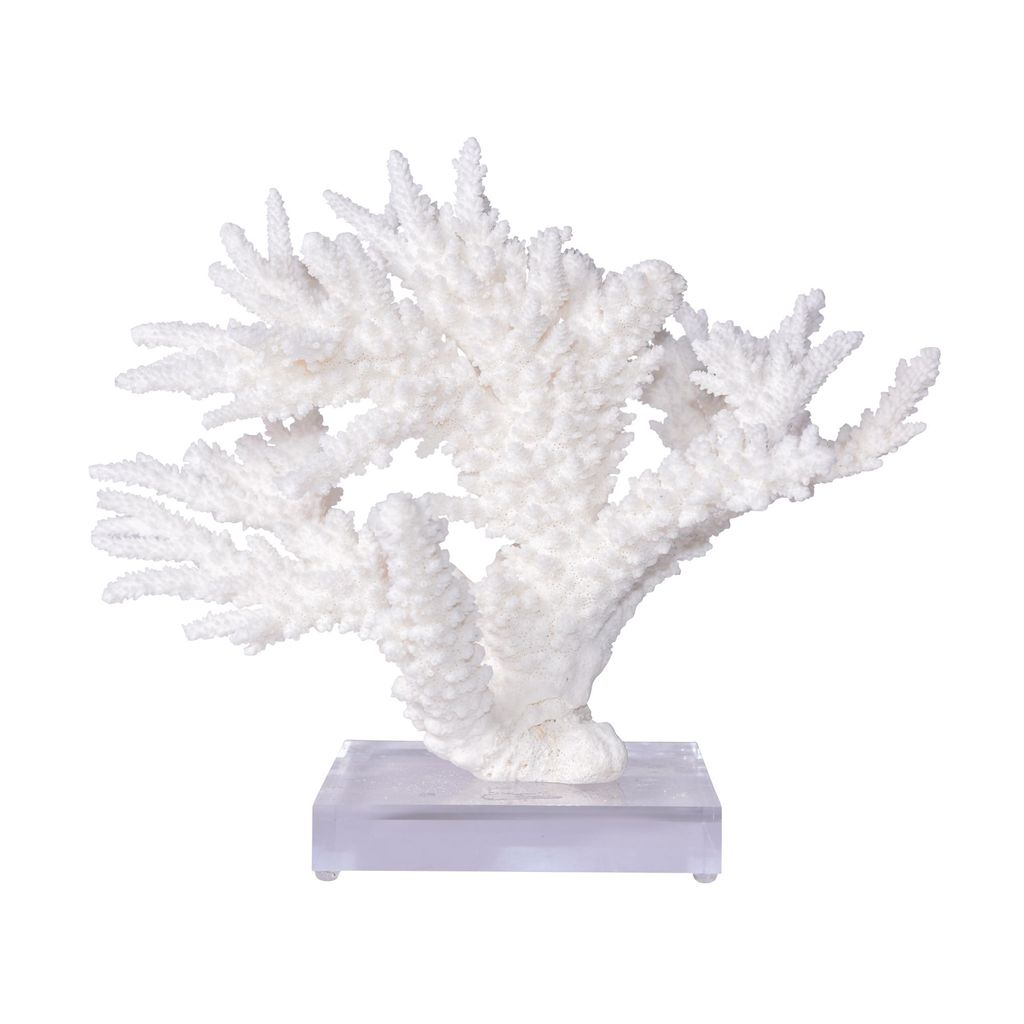 Preview image for Branch Coral 12-15 Inch On Acrylic Base