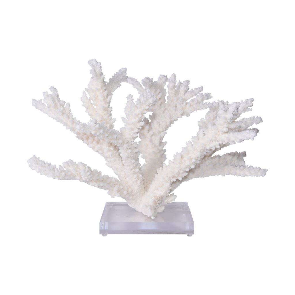 Preview image for Branch Coral 15-16 Inch On Acrylic Base