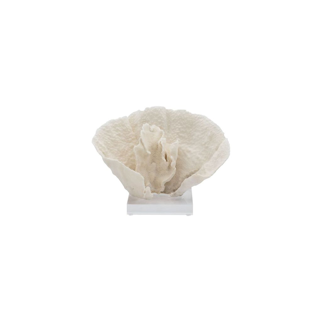 Coral 10-12 Inch On Acrylic Base