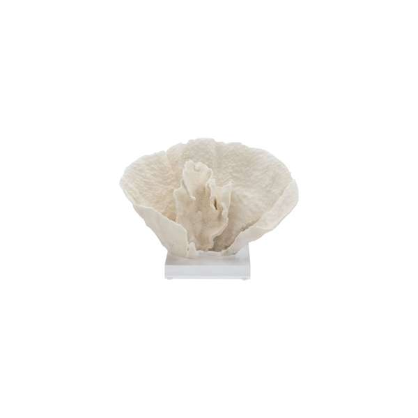 Coral 10-12 Inch On Acrylic Base