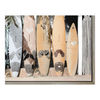 Image 2 of 6