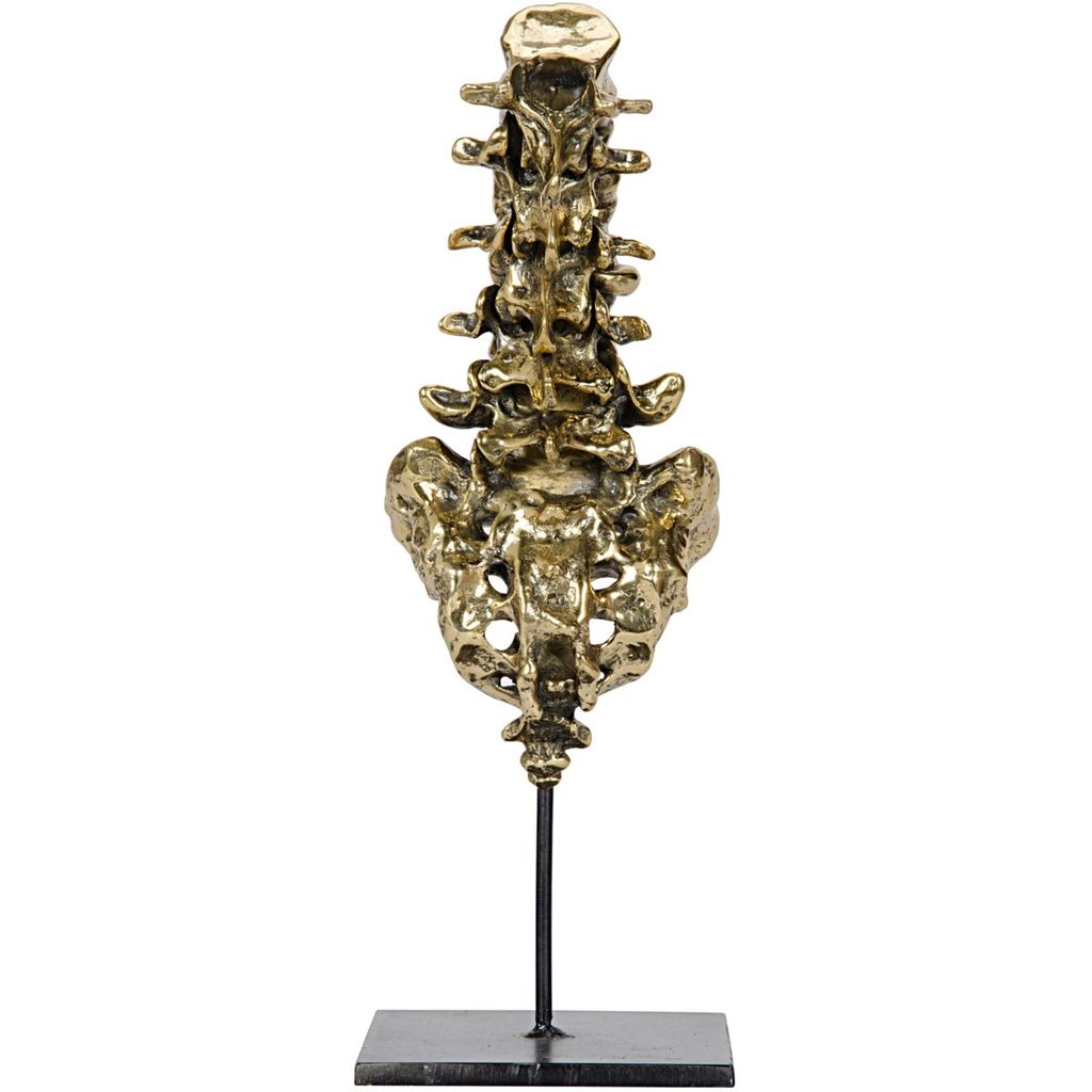 Vertebrae, Brass And Metal